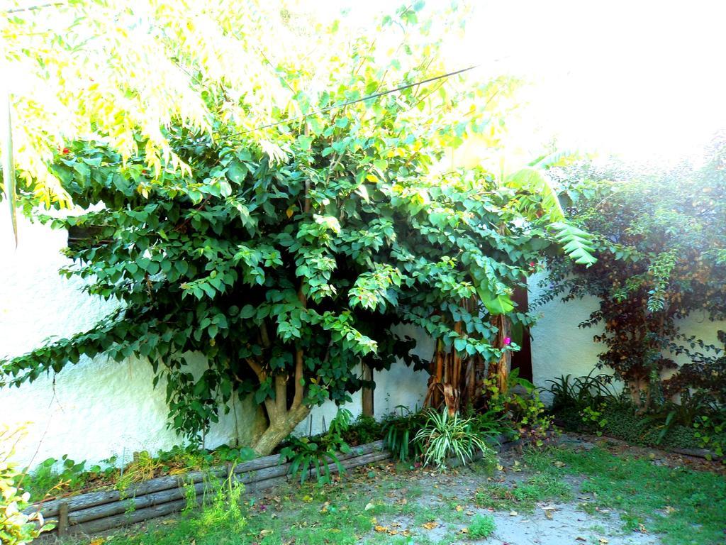 Cabanas Virazon Aguas Dulces Bagian luar foto